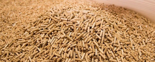 Wood Pellet